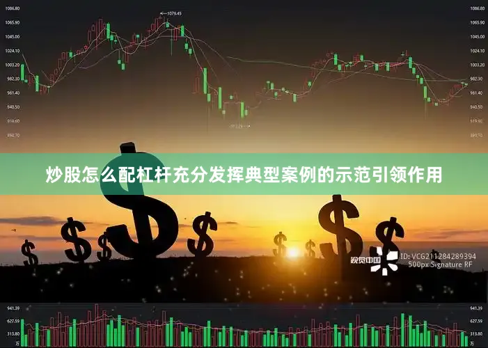 炒股怎么配杠杆充分发挥典型案例的示范引领作用