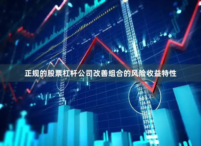 正规的股票杠杆公司改善组合的风险收益特性