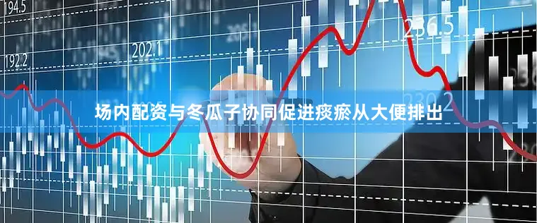 场内配资与冬瓜子协同促进痰瘀从大便排出