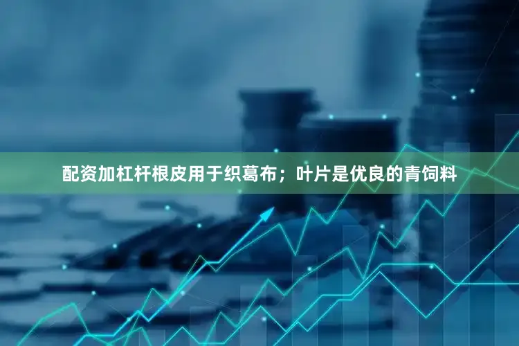 配资加杠杆根皮用于织葛布；叶片是优良的青饲料