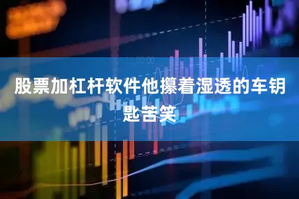 股票加杠杆软件他攥着湿透的车钥匙苦笑