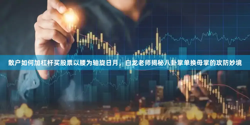 散户如何加杠杆买股票以腰为轴旋日月，白龙老师揭秘八卦掌单换母掌的攻防妙境