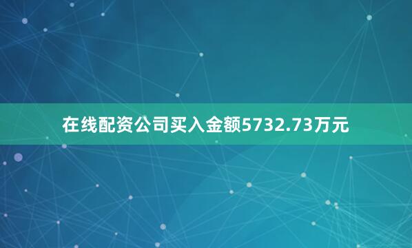在线配资公司买入金额5732.73万元
