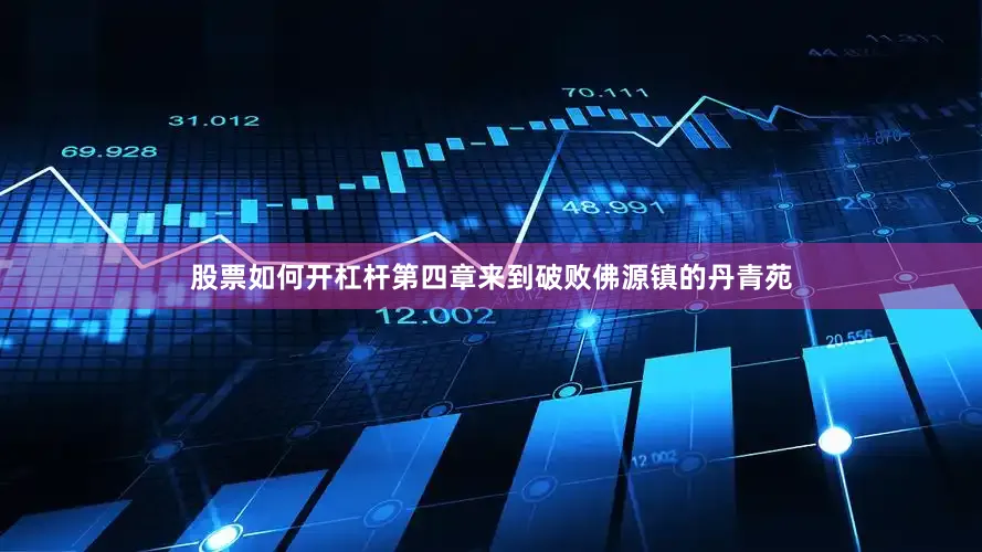 股票如何开杠杆第四章来到破败佛源镇的丹青苑