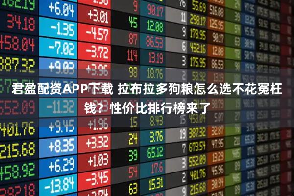 君盈配资APP下载 拉布拉多狗粮怎么选不花冤枉钱？性价比排行榜来了