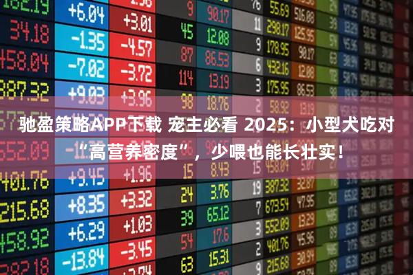 驰盈策略APP下载 宠主必看 2025：小型犬吃对 “高营养密度”，少喂也能长壮实！