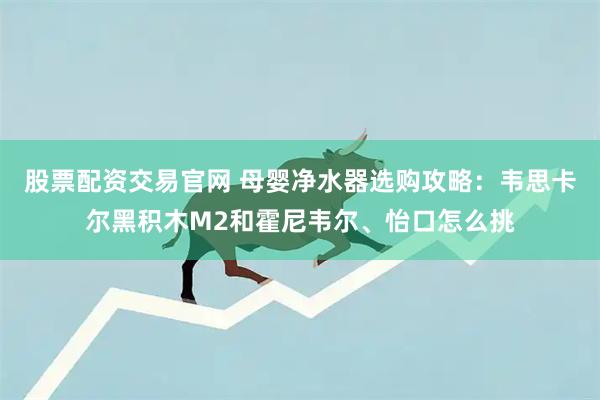 股票配资交易官网 母婴净水器选购攻略：韦思卡尔黑积木M2和霍尼韦尔、怡口怎么挑