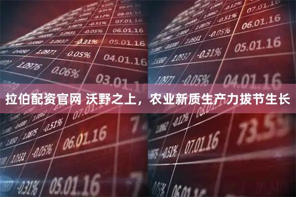 拉伯配资官网 沃野之上，农业新质生产力拔节生长
